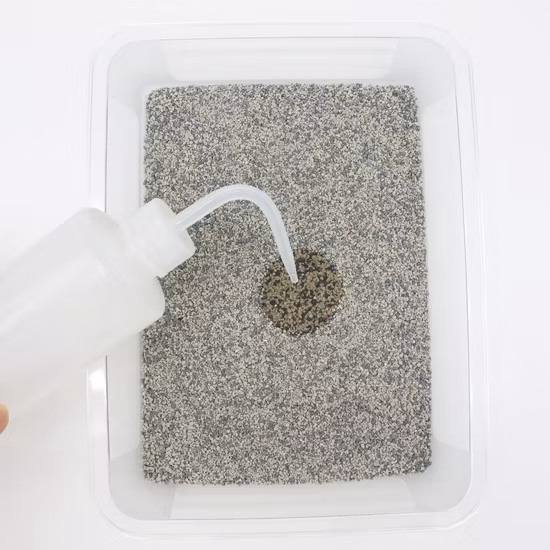 Love Sand High-Tech Clumping Wood Clumping Litter Pet Supply